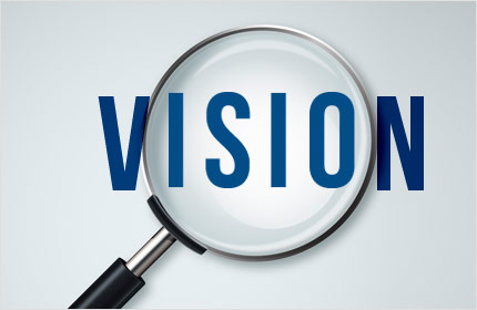 G.S.K. INDIA Vision